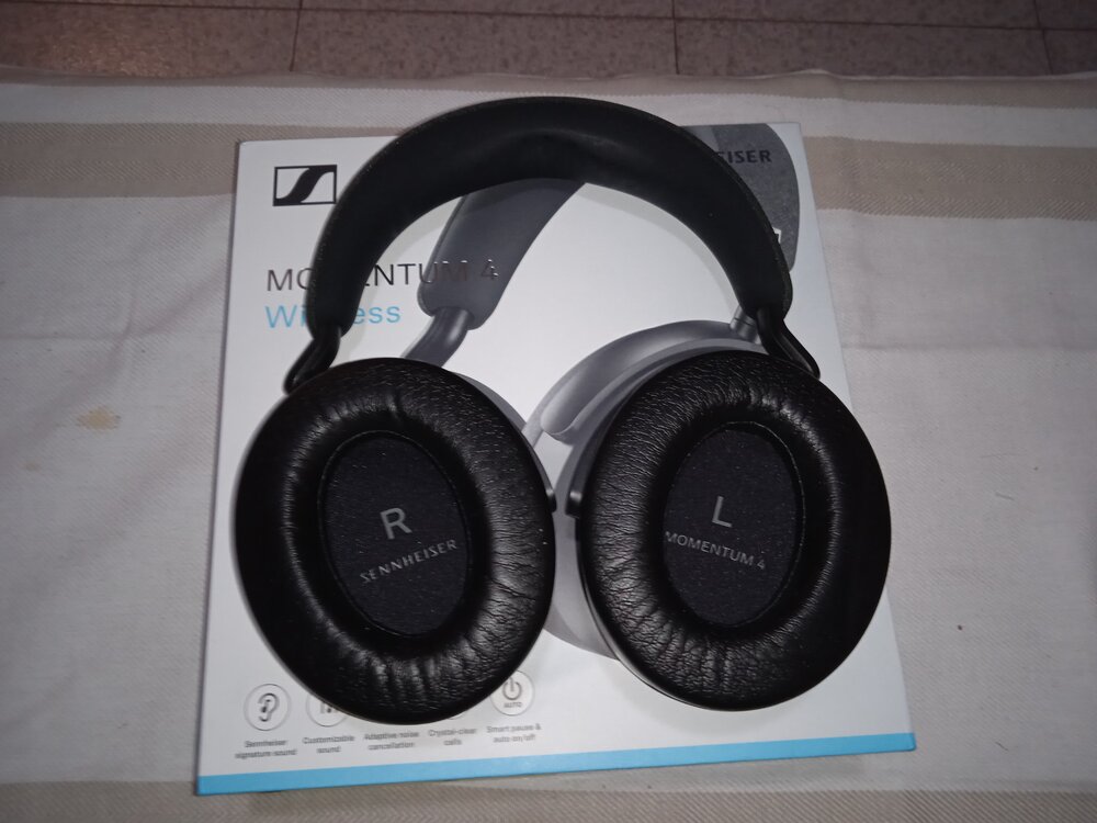 cascos (2).jpg