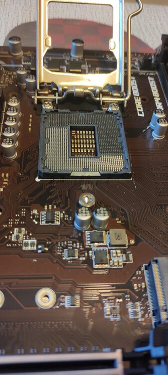 cc1e8013-6415-4ca1-979d-19a38041e32d.jpg
