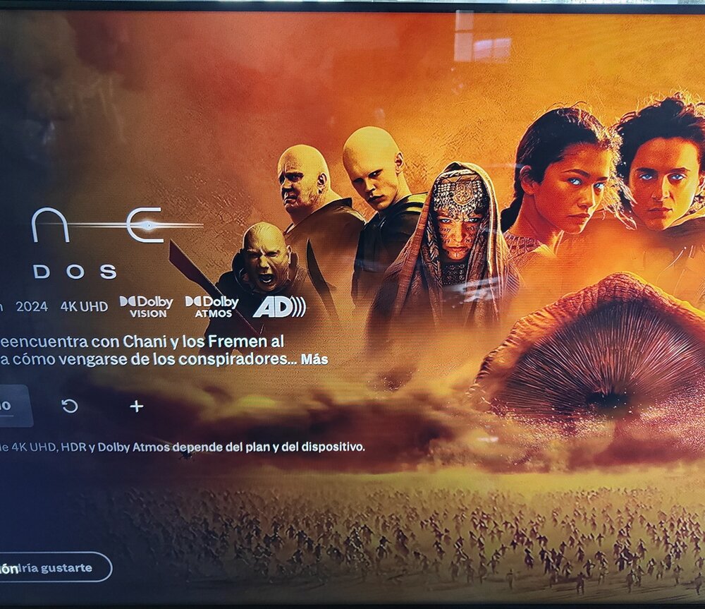 Max.jpg