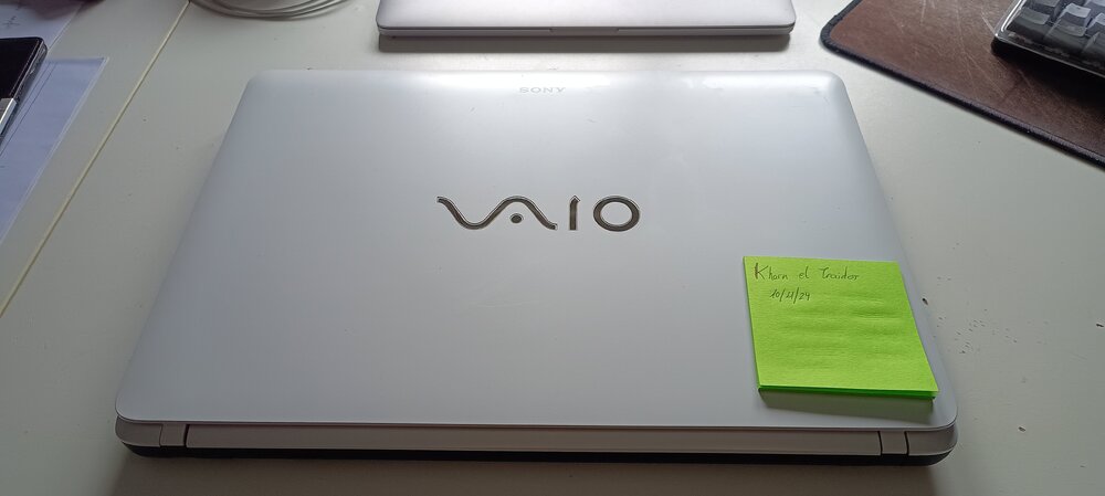 vaio (3).jpg
