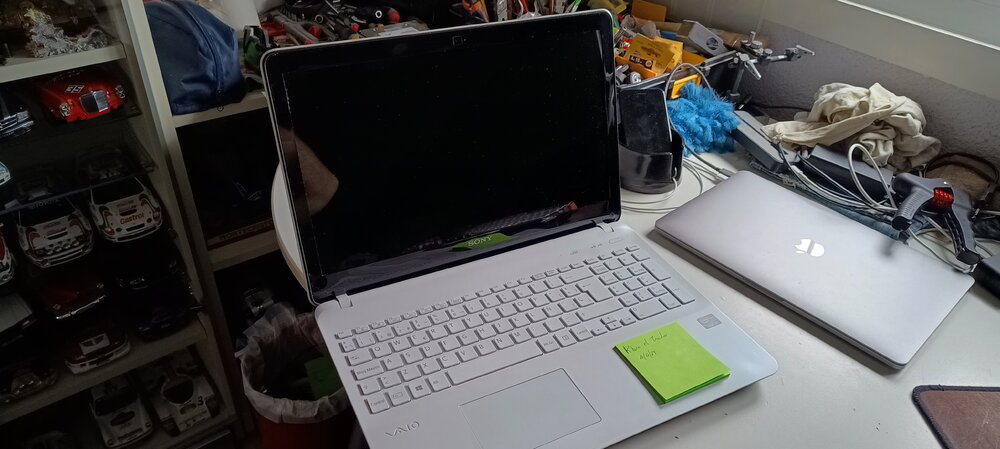 vaio (5).jpg