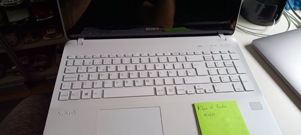 vaio (6).jpg