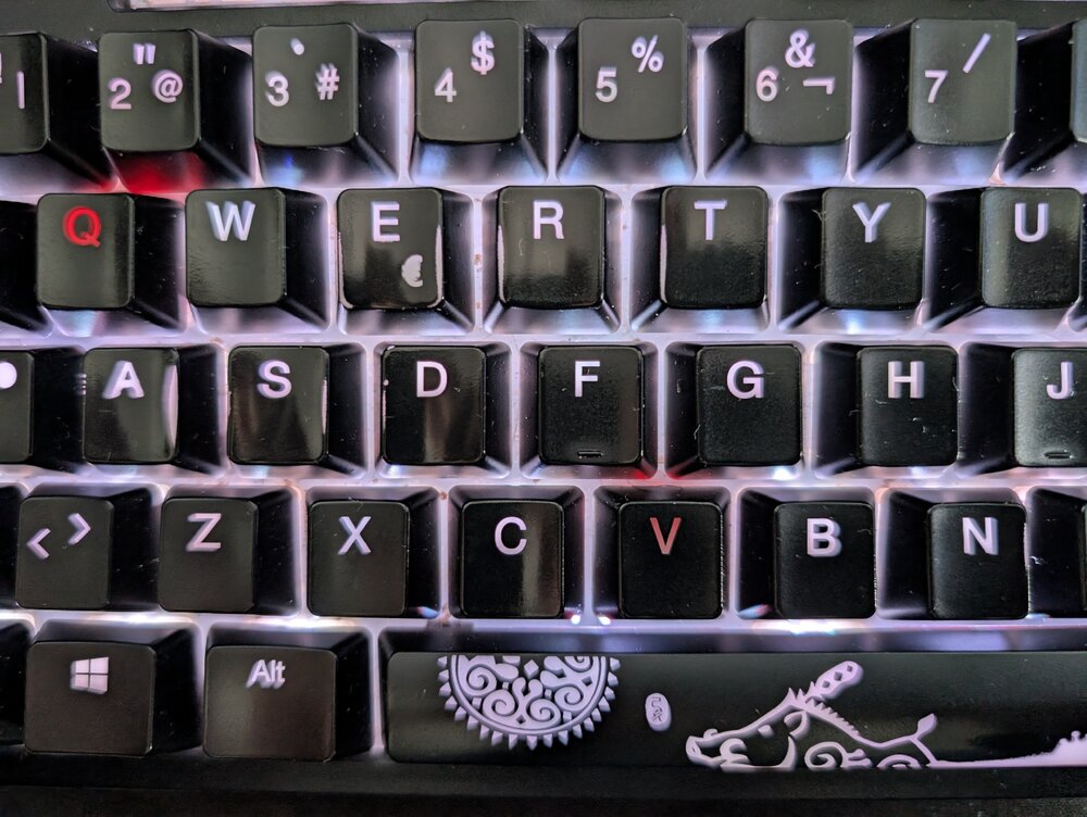 PXL_20241117_133817441.thumb.jpg.81f5071a5e8bf55c1d622d1e155fd2c7.jpg