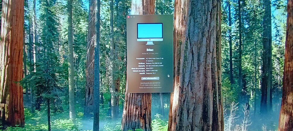 IMG_20250107_194552042_HDR.jpg
