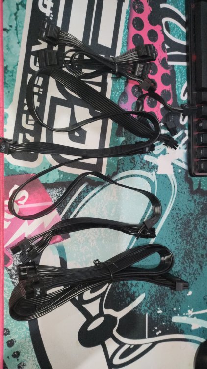 IMG20250201123356.jpg