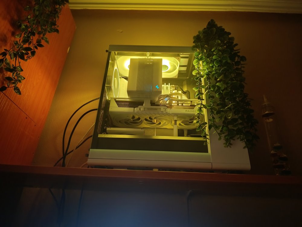 Mi pc.jpg