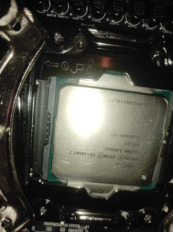 image.thumb.png.8c78d0c19e5d3c40c7bdcc17664b0674.png