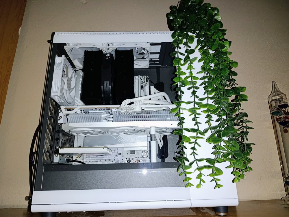 9070 (5).jpg